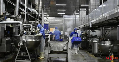 创新市场开拓新赛道 食品企业与电气安装服务的跨界融合